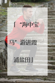 “海中宝马”游进霞浦盐田