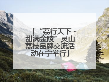 “荔行天下・甜满金陵”灵山荔枝品牌交流活动在宁举行