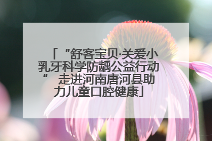 “舒客宝贝·关爱小乳牙科学防龋公益行动” 走进河南唐河县助力儿童口腔健康