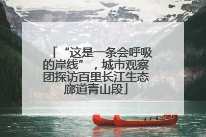 “这是一条会呼吸的岸线”，城市观察团探访百里长江生态廊道青山段