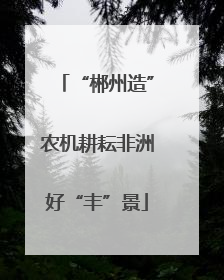 “郴州造”农机耕耘非洲好“丰”景