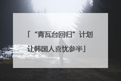 “青瓦台回归”计划让韩国人喜忧参半