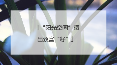 “阳光空间”晒出致富“籽”