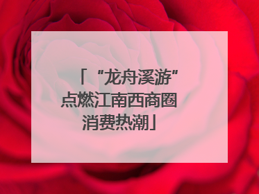 “龙舟溪游”点燃江南西商圈消费热潮