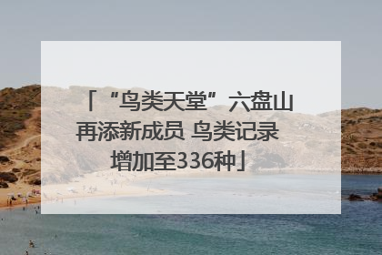 “鸟类天堂”六盘山再添新成员 鸟类记录增加至336种