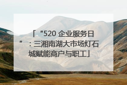 “520 企业服务日”：三湘南湖大市场灯石城赋能商户与职工