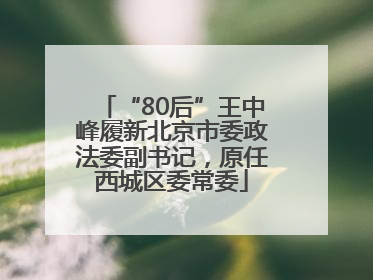 “80后”王中峰履新北京市委政法委副书记，原任西城区委常委