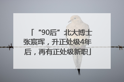 “90后”北大博士张宸珲，升正处级4年后，再有正处级新职