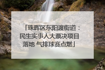 珠晖区东阳渡街道：民生实事人大票决项目落地 气排球赛点燃