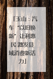 玉山：汽车“以旧换新”让利惠民 激发县域消费新活力