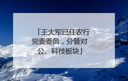王大军已任农行党委委员，分管对公、科技板块