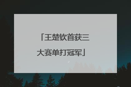 王楚钦首获三大赛单打冠军