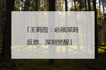 王莉霞：必须深刻反思、深刻警醒