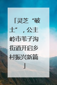 灵芝“破土”，公主岭市苇子沟街道开启乡村振兴新篇