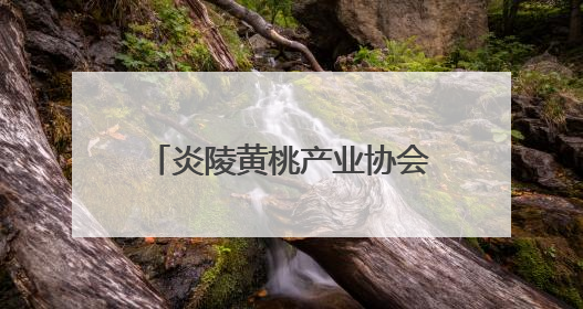 炎陵黄桃产业协会发布公告：非炎陵产区、非上市期使用商标包装均属侵权