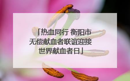 热血同行 衡阳市无偿献血者联谊迎接世界献血者日