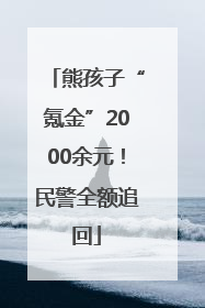 熊孩子“氪金”2000余元！民警全额追回