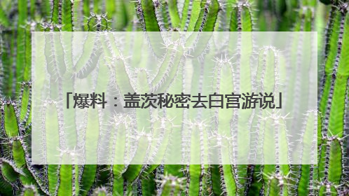 爆料：盖茨秘密去白宫游说