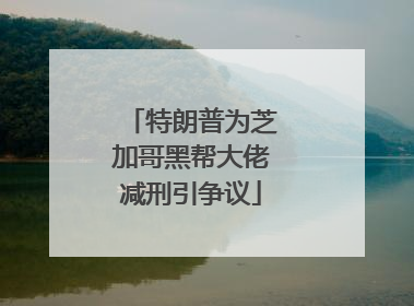 特朗普为芝加哥黑帮大佬减刑引争议