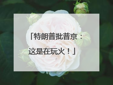 特朗普批普京：这是在玩火！