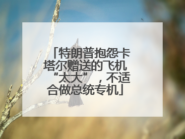 特朗普抱怨卡塔尔赠送的飞机“太大”，不适合做总统专机