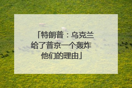 特朗普：乌克兰给了普京一个轰炸他们的理由