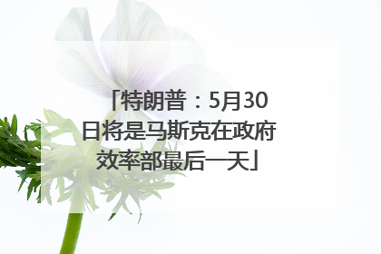 特朗普：5月30日将是马斯克在政府效率部最后一天