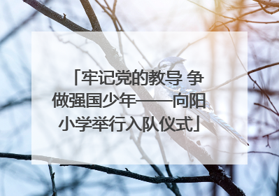 牢记党的教导 争做强国少年——向阳小学举行入队仪式