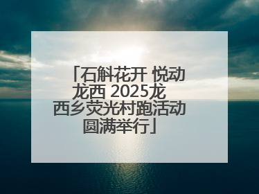 石斛花开 悦动龙西 2025龙西乡荧光村跑活动圆满举行