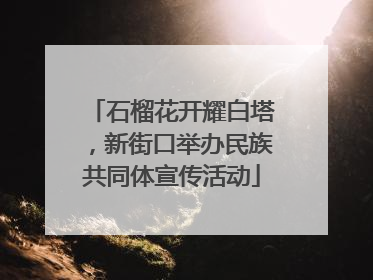 石榴花开耀白塔，新街口举办民族共同体宣传活动