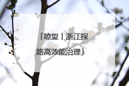瞭望丨浙江探路高效能治理