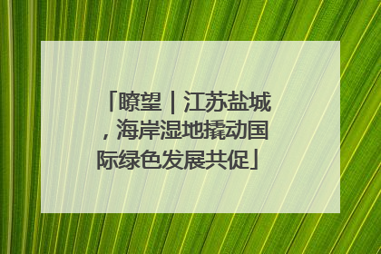瞭望｜江苏盐城，海岸湿地撬动国际绿色发展共促