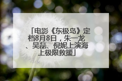 电影《东极岛》定档8月8日，朱一龙、吴磊、倪妮上演海上极限救援