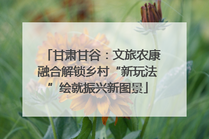 甘肃甘谷：文旅农康融合解锁乡村“新玩法”绘就振兴新图景