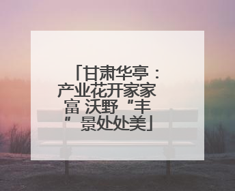 甘肃华亭：产业花开家家富 沃野“丰”景处处美