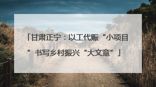 甘肃正宁：以工代赈“小项目”书写乡村振兴“大文章”