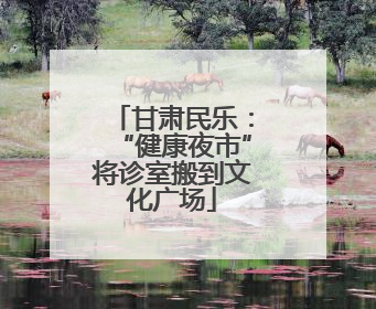 甘肃民乐：“健康夜市”将诊室搬到文化广场
