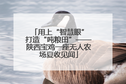 用上“智慧眼” 打造“吨粮田”——陕西宝鸡一座无人农场夏收见闻