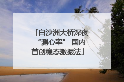白沙洲大桥深夜“测心率” 国内首创稳态激振法