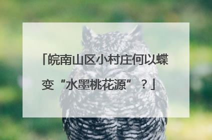 皖南山区小村庄何以蝶变“水墨桃花源”？