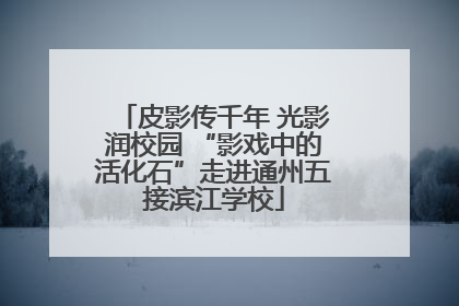 皮影传千年 光影润校园 “影戏中的活化石”走进通州五接滨江学校