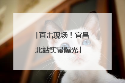 直击现场！宜昌北站实景曝光