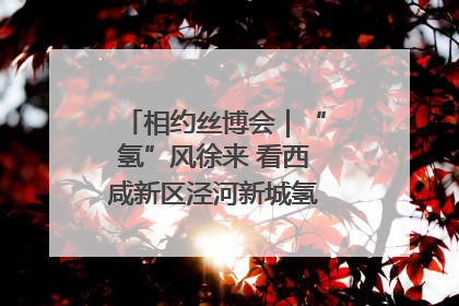相约丝博会｜“氢”风徐来 看西咸新区泾河新城氢能产业聚链成势