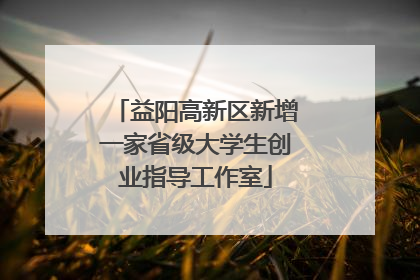 益阳高新区新增一家省级大学生创业指导工作室