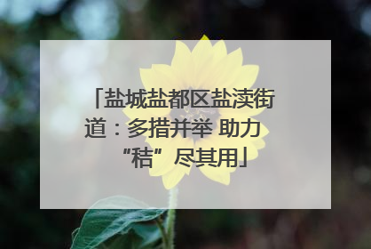 盐城盐都区盐渎街道：多措并举 助力“秸”尽其用