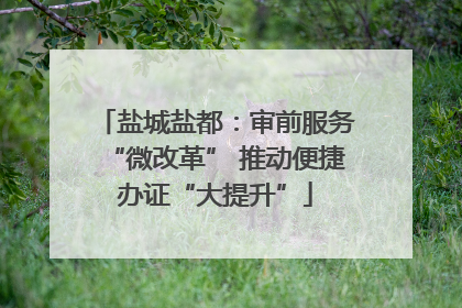 盐城盐都：审前服务“微改革” 推动便捷办证“大提升”
