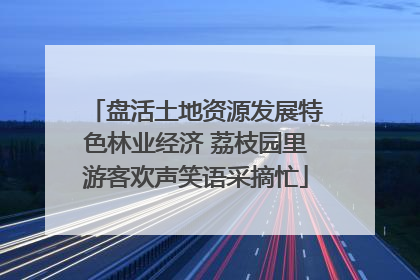 盘活土地资源发展特色林业经济 荔枝园里游客欢声笑语采摘忙