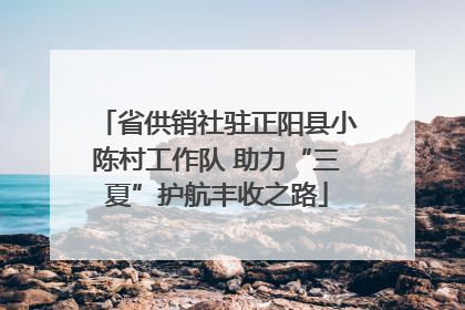 省供销社驻正阳县小陈村工作队 助力“三夏”护航丰收之路