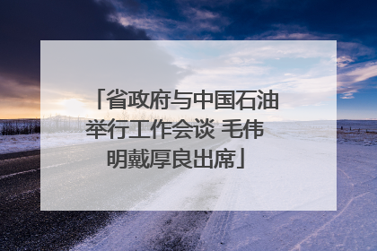 省政府与中国石油举行工作会谈 毛伟明戴厚良出席