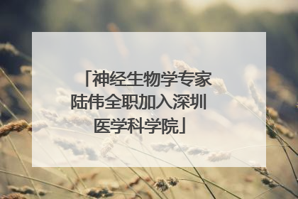 神经生物学专家陆伟全职加入深圳医学科学院